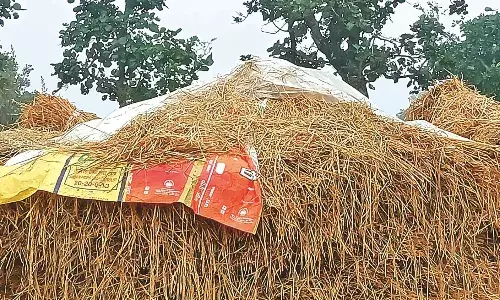 बेमौसम बारिश से हुए नुकसान के पंचनामें करने की प्रक्रिया तेज