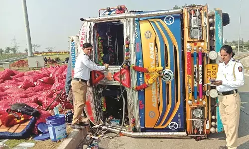 समृद्धि महामार्ग के एंट्री प्वाइंट पर प्याज से भरा ट्रक पलटा समृद्धि महामार्ग के एंट्री प्वाइंट पर प्याज से भरा ट्रक पलटा