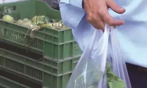 प्लास्टिकमुक्त अभियान को लेकर मनपा सख्त प्लास्टिकमुक्त अभियान को लेकर मनपा सख्त