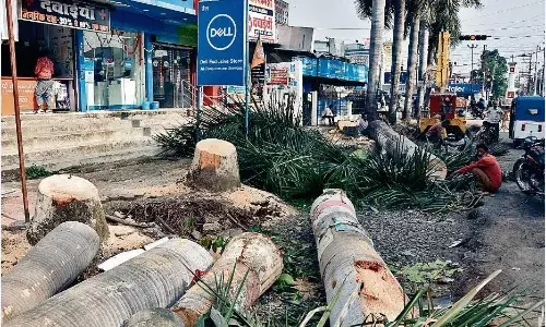 क्षेत्रीय नागरिकों ने कहा - पेड़ों को बचाकर भी बनाई जा सकती है सड़क