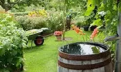 वैज्ञानिकों ने कहा - बचना है तो बूंद-बूंद पानी बचाना ही होगा वैज्ञानिकों ने कहा - बचना है तो बूंद-बूंद पानी बचाना ही होगा