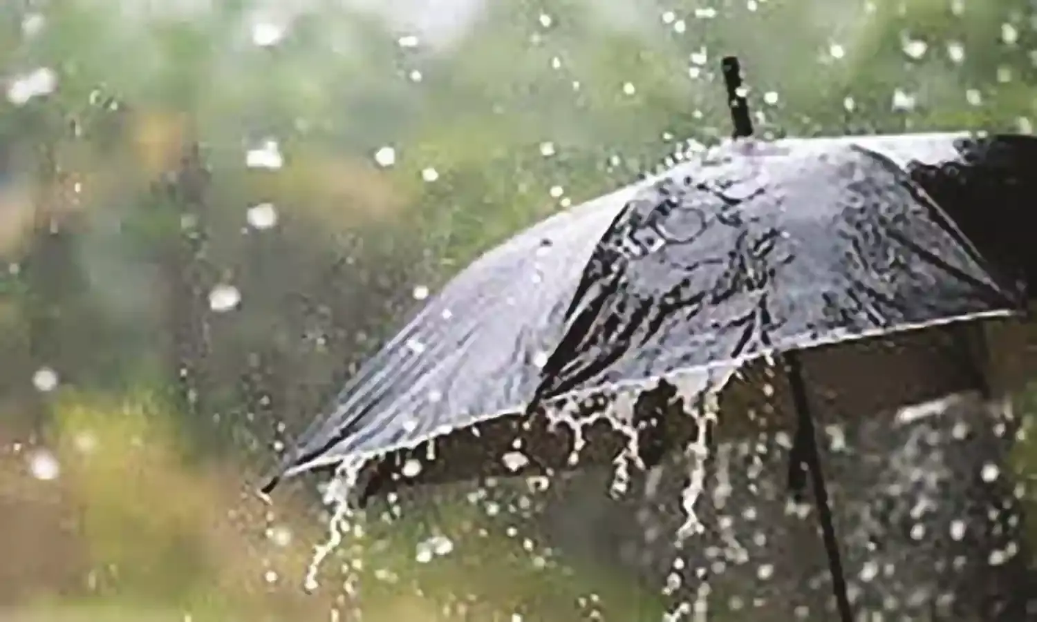 बेमौसम बारिश ने दी दस्तक, बार-बार होनेवाली बारिश से किसानों की समस्या लगातार बढ़ी