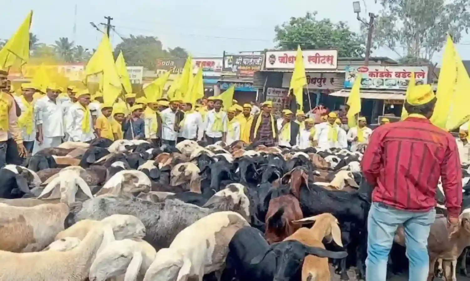 आरक्षण की मांग को लेकर भेड़- बकरियों के साथ सड़कों पर उतरा धनगर समुदाय