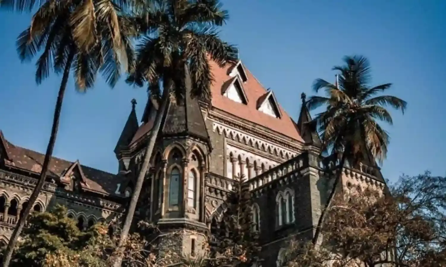 हाईकोर्ट का सट्टेबाज अनिल जयसिंघानी की जमानत याचिका पर तत्काल सुनवाई से इनकार