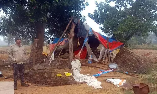 खेत में बनी झोपड़ी को किया ध्वस्त धान फसल को पहुंचाया नुकसान खेत में बनी झोपड़ी को किया ध्वस्त धान फसल को पहुंचाया नुकसान