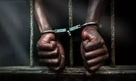 दिन में करते थे कबाड़ी बनकर रेकी, रात में करते थे चोरी, 3 शातिर गिरफ्तार