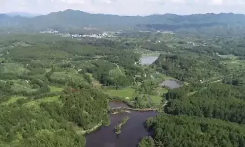 चीन में मृदा और जल संरक्षण परियोजना से जुड़ा पहला कार्बन सिंक व्यापार पूरा चीन में मृदा और जल संरक्षण परियोजना से जुड़ा पहला कार्बन सिंक व्यापार पूरा