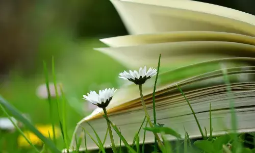 क्लस्टर यूनिवर्सिटी से कृषि पाठ्यक्रम दरकिनार क्लस्टर यूनिवर्सिटी से कृषि पाठ्यक्रम दरकिनार