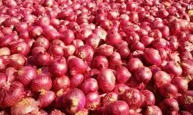 अहमदनगर के किसानों से भी 24 रुपये प्रति किलो दाम से ही खरीदा जाएगा प्याज