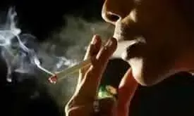 मस्तिष्क में सिकुड़न पैदा करता है धूम्रपान मस्तिष्क में सिकुड़न पैदा करता है धूम्रपान