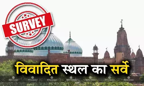 इलाहाबाद हाईकोर्ट ने दी विवादित स्थल के सर्वेक्षण की अनुमति, कमिश्नर की भी होगी नियुक्ति इलाहाबाद हाईकोर्ट ने दी विवादित स्थल के सर्वेक्षण की अनुमति, कमिश्नर की भी होगी नियुक्ति