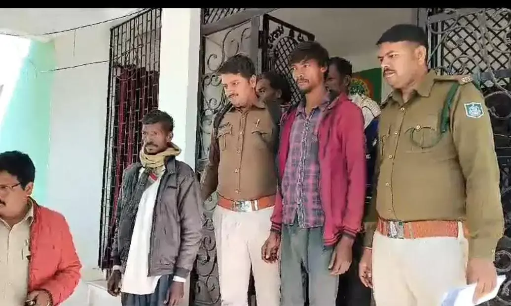 जंगली सुअर के शिकार की घटना में चार आरोपी गिरफ्तार