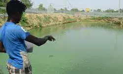 मछुआराें को योजनाओं का लाभ देने विशेष मुहिम मछुआराें को योजनाओं का लाभ देने विशेष मुहिम