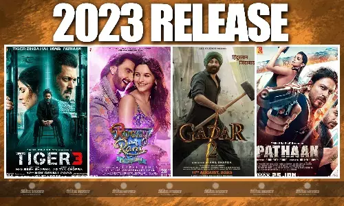 बॉलीवुड के लिए बेहद ही शानदार रहा साल 2023, फिल्म पठान से लेकर एनिमल तक इन फिल्मों ने बॉक्स ऑफिस पर मचाया धमाल