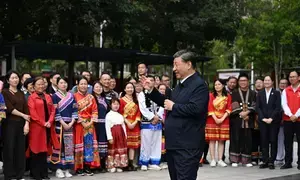 शी चिनफिंग ने क्वांगशी के नाननिंग और लाइपिंग का निरीक्षण किया