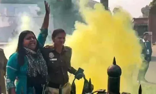 दिल्ली की एक अदालत में याचिका दायर कर एफआईआर कॉपी, आरोपी नीलम से मुलाकात की मांग की