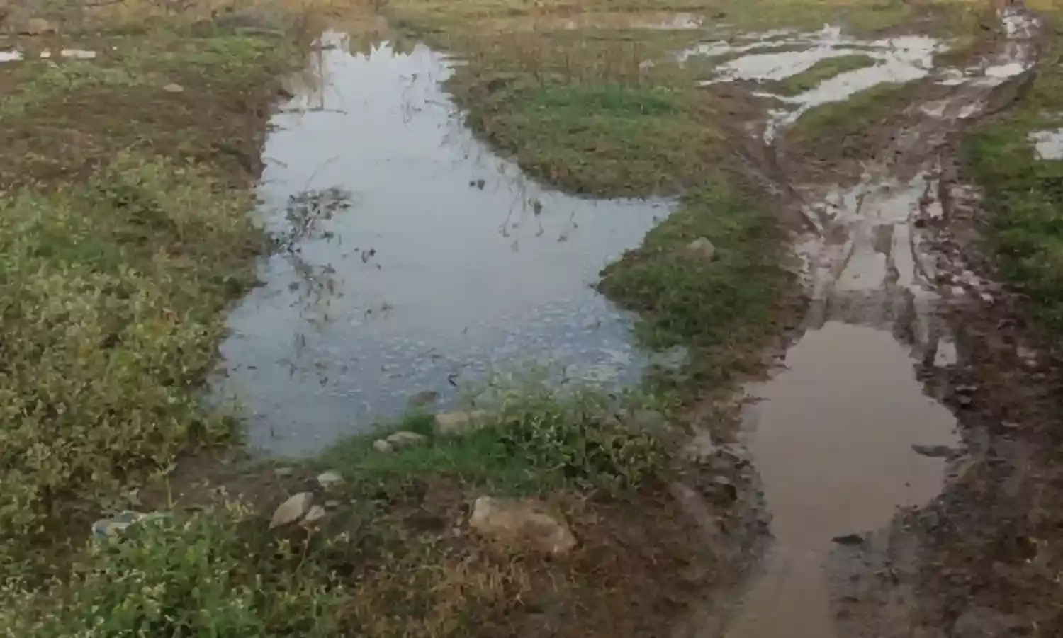 छोटी नहर का पानी ओवरफ्लो, खेत बने तालाब