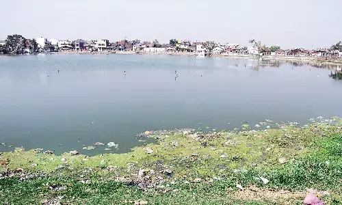 जिला परिषद के तालाब पर अवैध कब्जा और बेचने के लिए निकाला इश्तहार जिला परिषद के तालाब पर अवैध कब्जा और बेचने के लिए निकाला इश्तहार