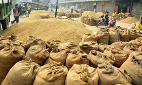 किसानों से खाद्यान्न की खरीद के दौरान अधिकारी करेंगे निगरानी किसानों से खाद्यान्न की खरीद के दौरान अधिकारी करेंगे निगरानी