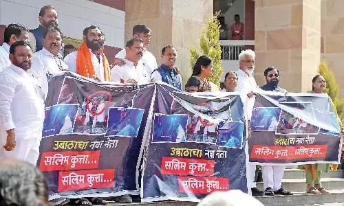 सलीम कुत्ता जिंदा है या मर गया इस पर सत्तापक्ष, विपक्ष में भिड़ंत सलीम कुत्ता जिंदा है या मर गया इस पर सत्तापक्ष, विपक्ष में भिड़ंत