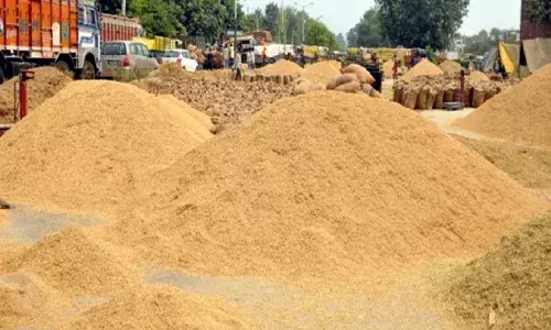 गड़चिरोली की 41 राइस मिलर्स पर 2.67 करोड़ रुपए का जुर्माना
