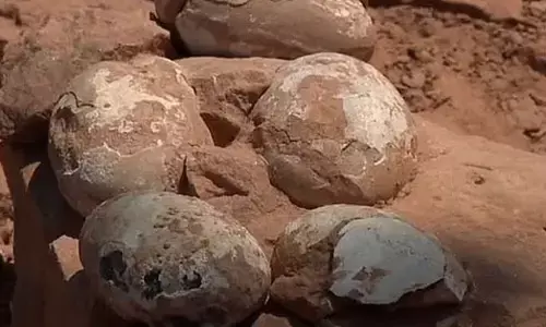 हैरत में पड़े धार के किसान, देवता समझकर जिसकी कर रहे थे पूजा वो निकला डायनासोर का अंडा