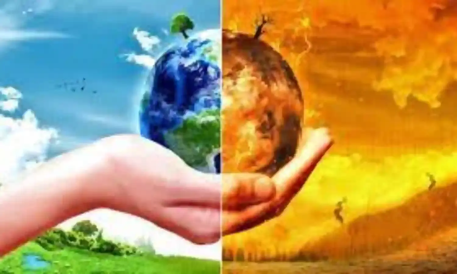 रिथ-जलवायु शिखर सम्मेलन में जुटे 45 एफपीओ के प्रतिनिधि