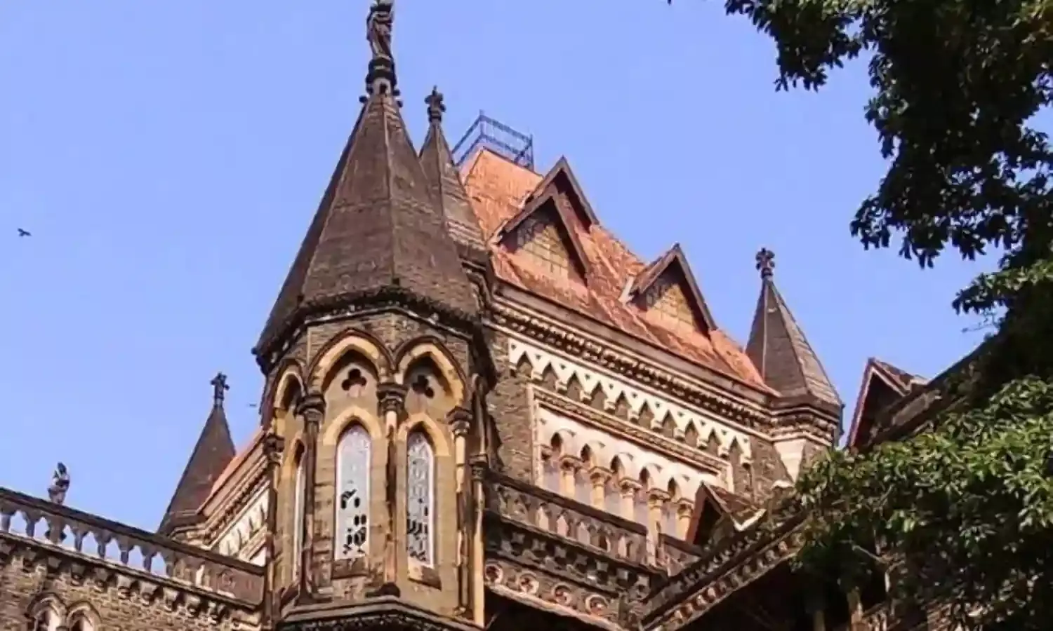 केंद्रीय अधिकारी आशुतोष कुमार सहाय की अग्रिम जमानत याचिका खारिज