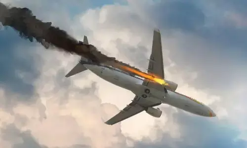 अलग-अलग प्लेन में यात्रा कर रहे कपल हुए हादसे का शिकार, प्लेन हुआ क्रैश, अंजाम देखकर रह जाएंगे हैरान