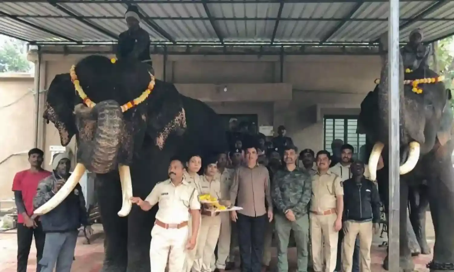 भीमा, सुब्रम्हण्यम पहुंचे नागपुर के पेंच में, अब रंजन का इंतजार
