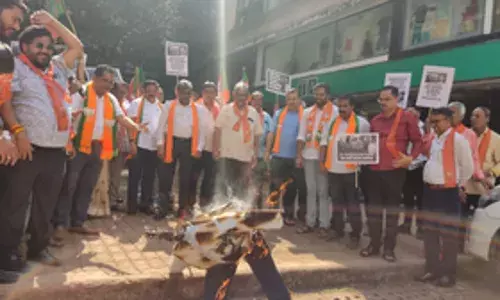 गोवा में भाजपा ने राहुल गांधी का पुतला जलाया