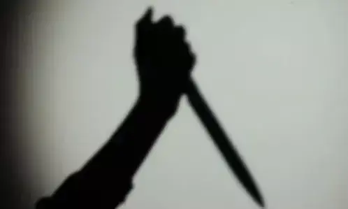झगड़े के दौरान पत्नी ने पति की चाकू मारकर की हत्या, हुई गिरफ्तार झगड़े के दौरान पत्नी ने पति की चाकू मारकर की हत्या, हुई गिरफ्तार