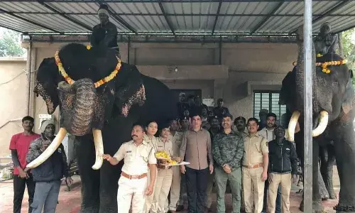 भीमा, सुब्रम्हण्यम पहुंचे नागपुर के पेंच में, अब रंजन का इंतजार