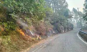 उत्तरकाशी के गंगा और यमुना घाटी के जंगल में 5 दिनों से धधक रही आग