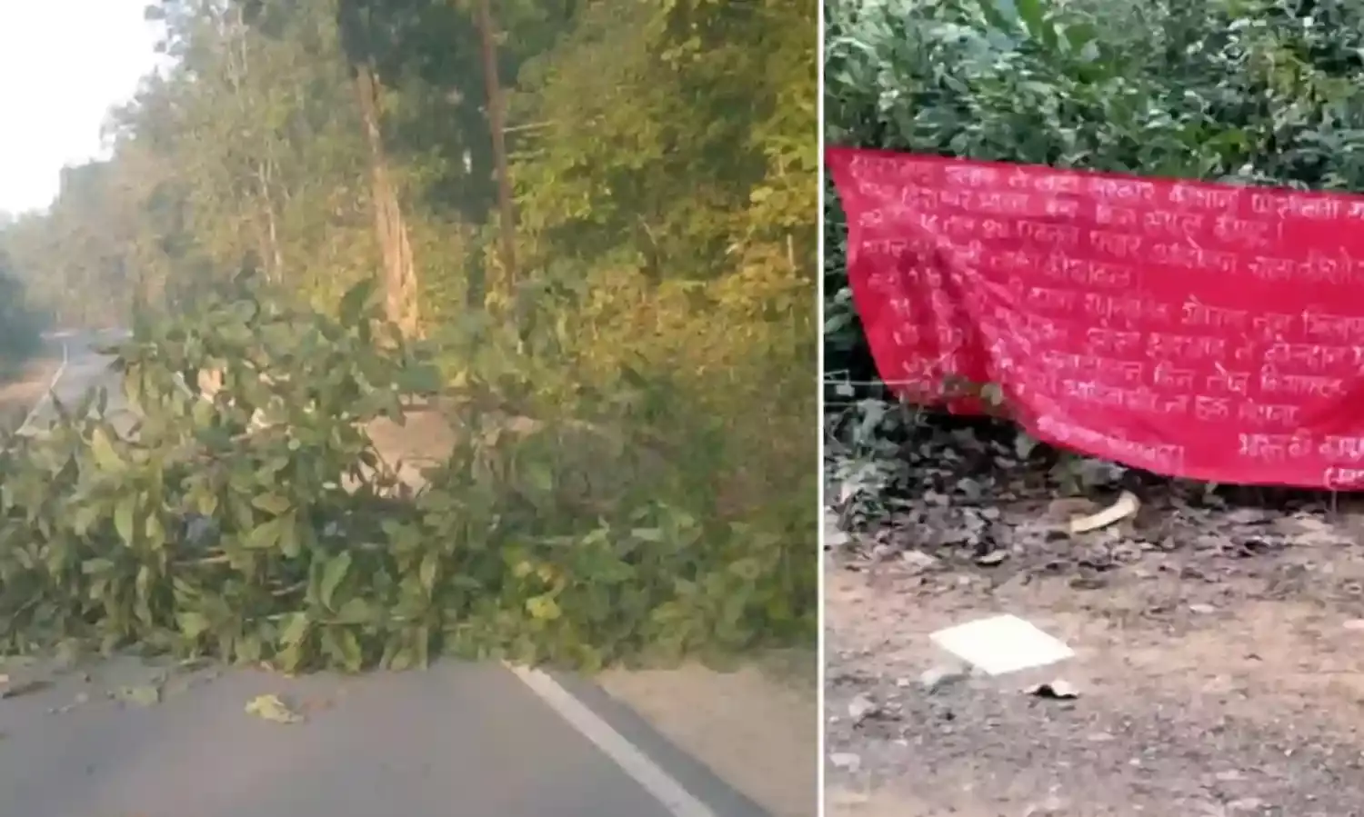 नक्सलियों ने भामरागढ़-आलापल्ली हाईवे पर बिछाया पेड़, यातायात प्रभावित