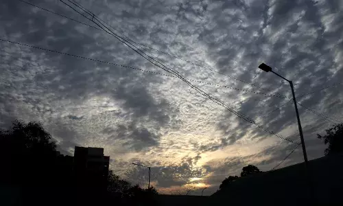 दिन व रात का तापमान बढ़ा , सर्दी से मिली थोड़ी राहत