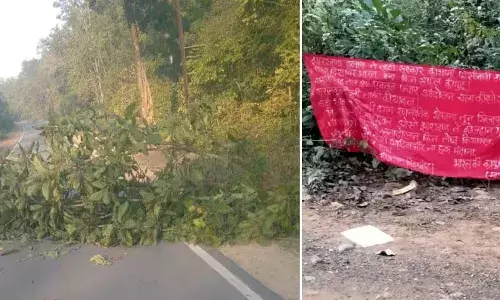 नक्सलियों ने भामरागढ़-आलापल्ली हाईवे पर बिछाया पेड़, यातायात प्रभावित