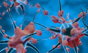 भारतीय वैज्ञानिकों ने हाथ, कलाई में होने वाले तंत्रिका विकारों को दूर करने के लिए एआई उपकरण विकसित किया भारतीय वैज्ञानिकों ने हाथ, कलाई में होने वाले तंत्रिका विकारों को दूर करने के लिए एआई उपकरण विकसित किया