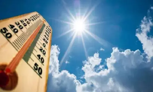 सर्द हवाओं का असर कम, पश्चिमी विक्षोभ तैयार