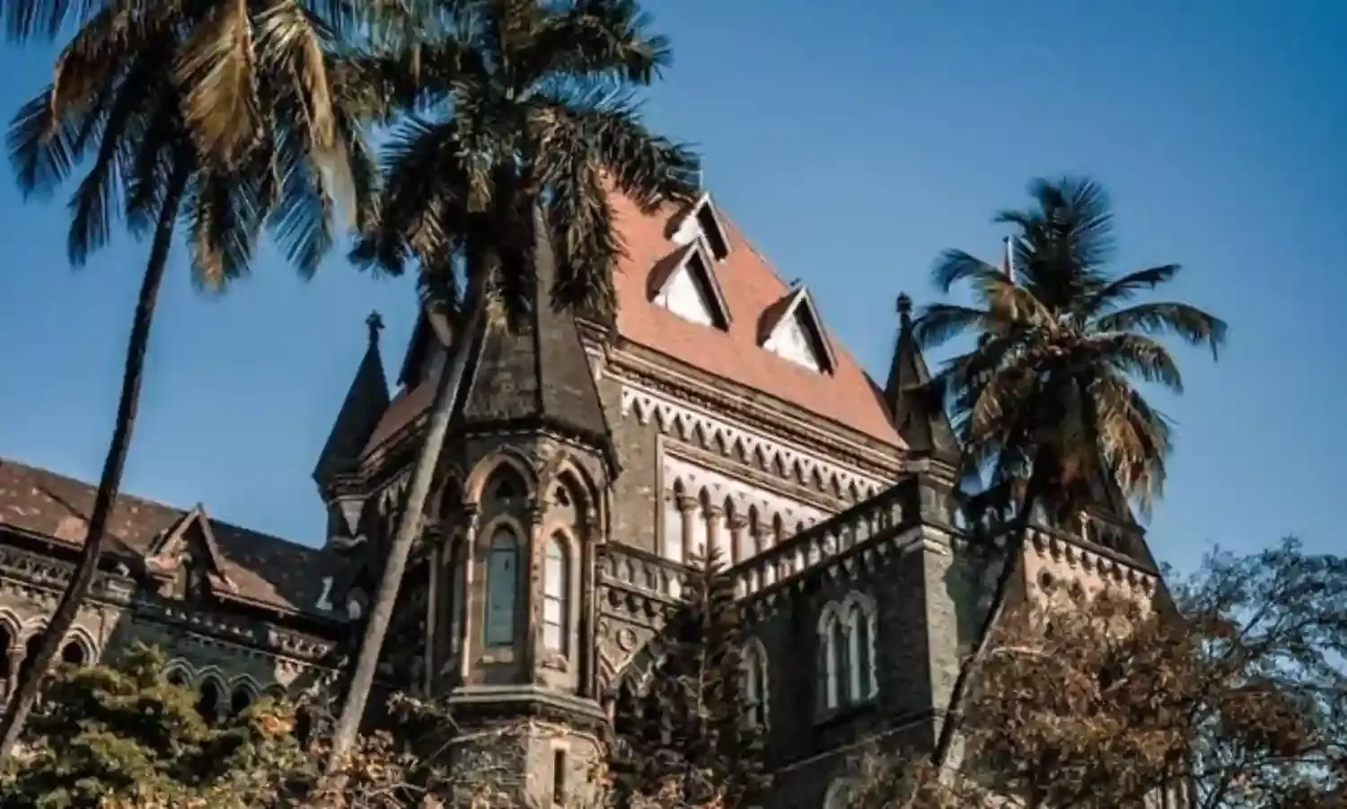 हत्या की आरोपी महिला को मिली जमानत