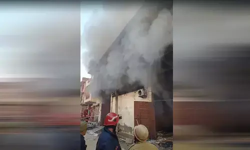 दिल्ली के एक गोदाम में लगी आग दिल्ली के एक गोदाम में लगी आग