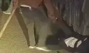 उत्तराखंड के काशीपुर में यूपी के खनन माफिया ने की ग्रामीणों पर अंधाधुंध फायरिंग, कई घायल उत्तराखंड के काशीपुर में यूपी के खनन माफिया ने की ग्रामीणों पर अंधाधुंध फायरिंग, कई घायल