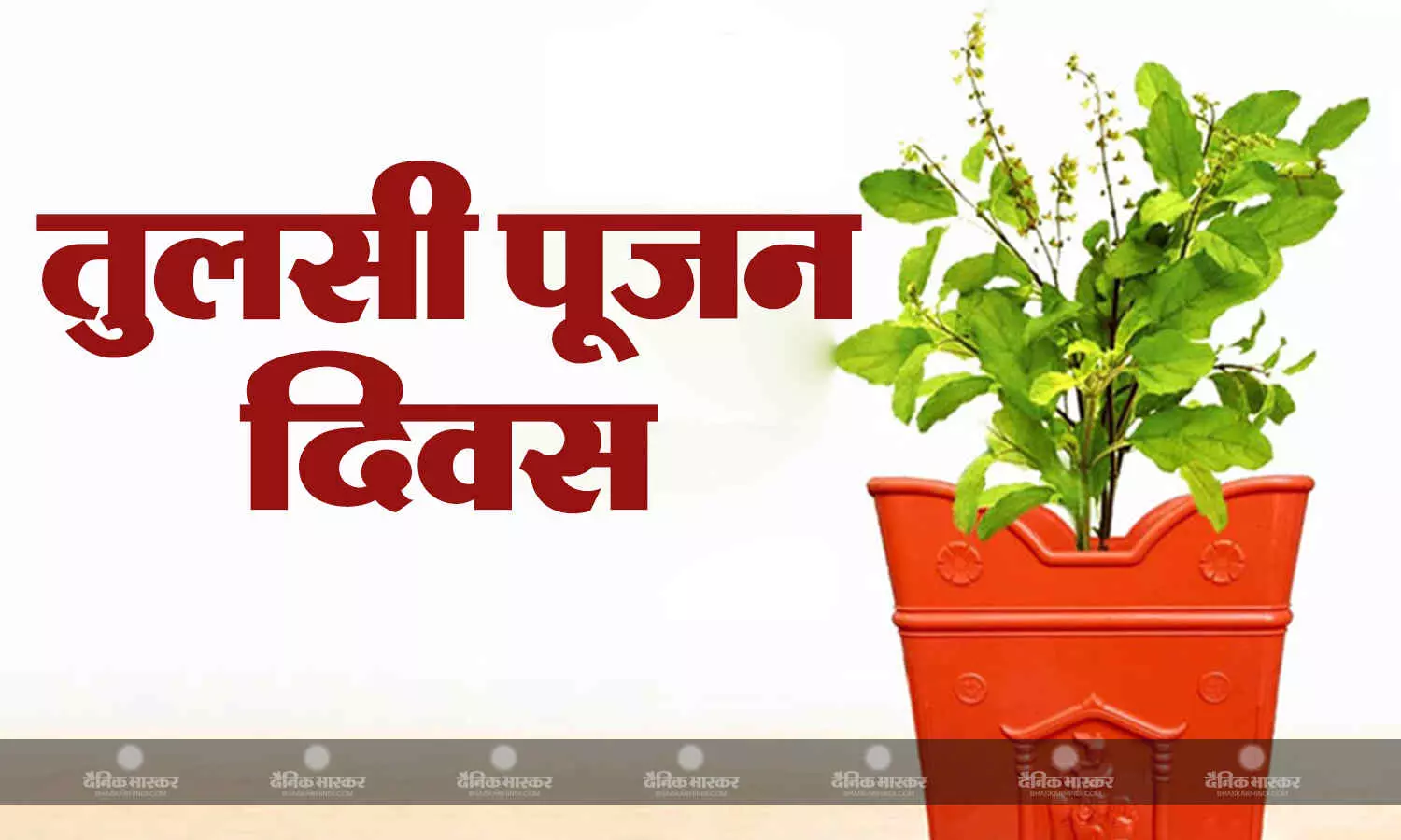 तुलसी पूजन करने से नहीं होती है आर्थिक तंगी, जानें तुलसी से जुड़ी खास बातें तुलसी पूजन करने से नहीं होती है आर्थिक तंगी, जानें तुलसी से जुड़ी खास बातें