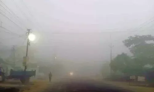 विदर्भ में सबसे सर्द रहा गोंदिया विदर्भ में सबसे सर्द रहा गोंदिया