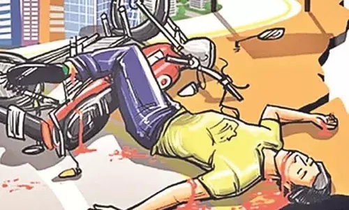 तेज रफ्तार दोपहिया बैलगाड़ी से भिड़ी, चालक की मौत