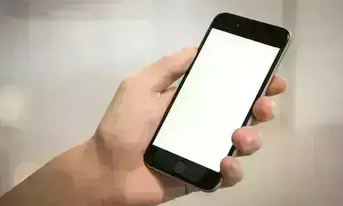 हाजिरी एप शुरू करते ही चलने लगी पोर्न क्लिप