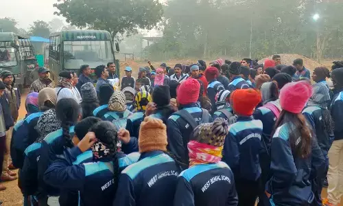 राष्ट्रीय स्पर्धा में आए 336 खिलाड़ियों को मुफ्त में करवायी ताड़ोबा में जंगल सफारी राष्ट्रीय स्पर्धा में आए 336 खिलाड़ियों को मुफ्त में करवायी ताड़ोबा में जंगल सफारी