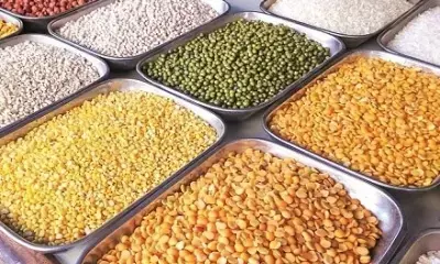 केंद्र ने तुअर, उड़द दालों पर सीमा शुल्क छूट मार्च 2025 तक बढ़ाई केंद्र ने तुअर, उड़द दालों पर सीमा शुल्क छूट मार्च 2025 तक बढ़ाई