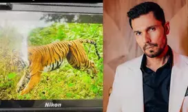 रणदीप हुडा ने जाल में फंसी बाघिन के लिए सीएम धामी से मांगी मदद रणदीप हुडा ने जाल में फंसी बाघिन के लिए सीएम धामी से मांगी मदद