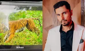 रणदीप हुडा ने जाल में फंसी बाघिन के लिए सीएम धामी से मांगी मदद